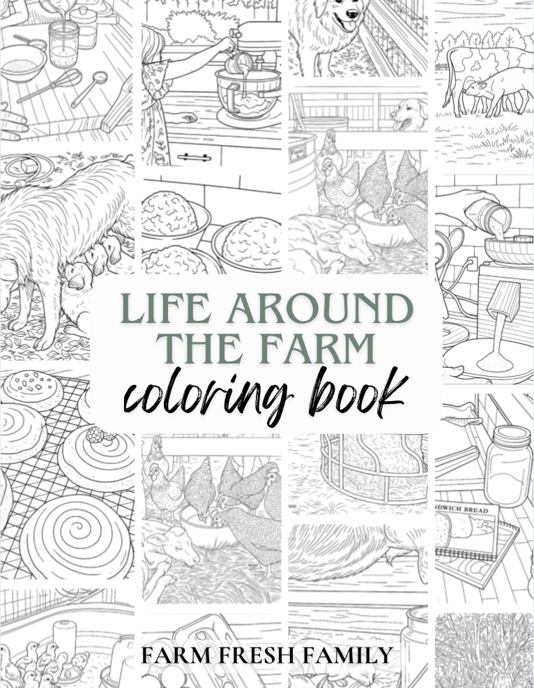 Life Around the Farm Coloring Book
